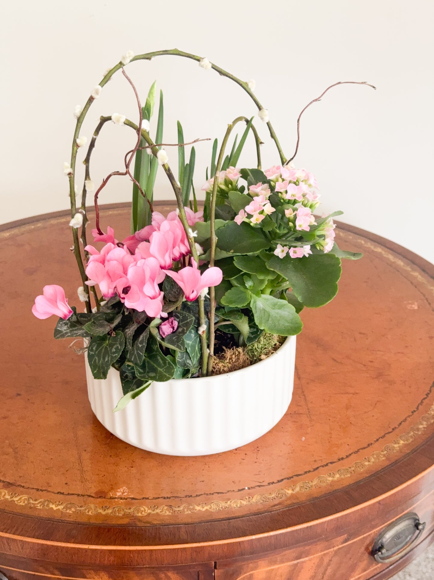 Valentine's Day Tabletop Garden